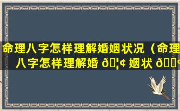 命理八字怎样理解婚姻状况（命理八字怎样理解婚 🦢 姻状 🐺 况好）